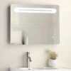 650 X 500mm LED Illuminated Mirror Incl. Touch Sensor + Anti-Fog -Shower Essence 65x5mir l