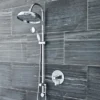 Nuie Victorian Dual Concealed Thermostatic Shower Valve -Shower Essence a3092cd2