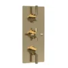 Hudson Reed Tec Pura Plus Triple Concealed Thermostatic Shower Valve - Brushed Brass -Shower Essence a8003l