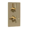 Hudson Reed Tec Pura Concealed Twin Shower Valve With Built-in Diverter - Brushed Brass -Shower Essence a8007l