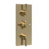 Hudson Reed Tec Pura Plus Concealed Thermostatic Triple Shower Valve With Diverter - Brushed Brass -Shower Essence a8023l