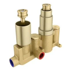 Arezzo Brushed Brass Round Modern Twin Concealed Shower Valve -Shower Essence azbbsv nd1