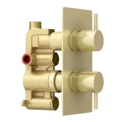 Arezzo Brushed Brass Round Modern Twin Concealed Shower Valve -Shower Essence azbbsvnd2