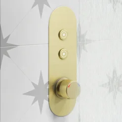 Arezzo Brushed Brass Push-Button Shower With Handset + Rainfall Shower Head -Shower Essence azpb2rbbpk d1