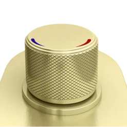 Arezzo Brushed Brass Push-Button Shower With Handset + Rainfall Shower Head -Shower Essence azpb2rbbpk d3