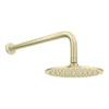 Arezzo Brushed Brass Round Shower System (Fixed Head, Handset + Integrated Parking Bracket) -Shower Essence azsvhbbpkd4
