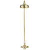 Crosswater Belgravia Unlacquered Brass Thermostatic Shower Valve With 8" Fixed Head -Shower Essence bel showerq d1