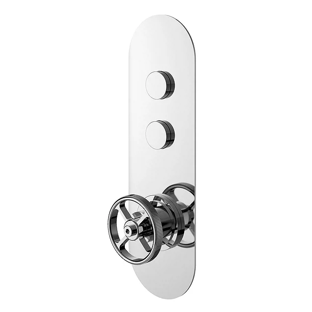 Hudson Reed Revolution Industrial Two Outlet Push-Button Shower Valve 4 Hudson Reed Revolution Industrial Two Outlet Push-Button Shower Valve - Image 2