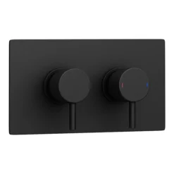 Arezzo Round Modern Twin Concealed Shower Valve With Diverter - Matt Black -Shower Essence mbrdsvd n d1