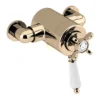 Bristan - 1901 Exposed Dual Control Thermostatic Shower Valve - Gold -Shower Essence n2cshxvog ln