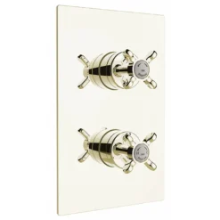 Bristan - 1901 Thermostatic Recessed Dual Control Shower Valve With Integral Diverter - Gold