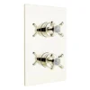 Bristan - 1901 Thermostatic Recessed Dual Control Shower Valve - Gold -Shower Essence n2shcvog l
