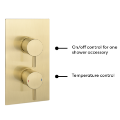 Arezzo Brushed Brass Twin Concealed Shower Valve Inc. 300mm Head + 200mm Ceiling Mounted Arm -Shower Essence rd32bbpkcm detail1