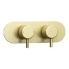 Arezzo Brushed Brass Round Thermostatic Shower Pack With Head + Handset (Oval Backplate) -Shower Essence rd4bbpkrd5
