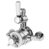 Asquiths Restore Twin Exposed Shower Valve -Shower Essence she5318 l