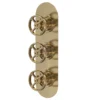 Hudson Reed Revolution Industrial Triple Concealed Thermostatic Shower Valve - Brushed Brass