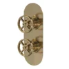 Hudson Reed Revolution Industrial Twin Concealed Thermostatic Shower Valve - Brushed Brass -Shower Essence siwtw801l