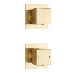Arezzo Brushed Brass Square Thermostatic Shower Pack With 200mm Head + Handset -Shower Essence sq4bbpk d3