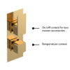 Venice Cubo Twin Thermostatic Shower Valve With Diverter - Brushed Brass -Shower Essence vc8tw02bb d1